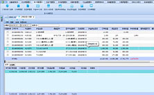 �����ƻ��ŵ�����ɭ����