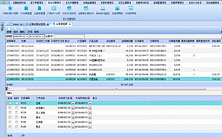 ���̵���������ɭ����